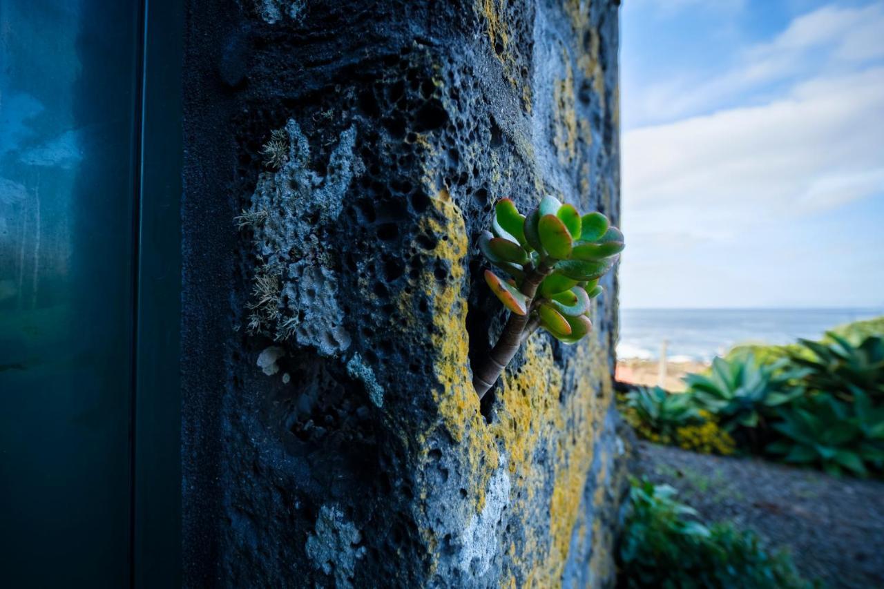 Stone Home Casa Do Caisinho Pico Island Terra Alta Exterior foto