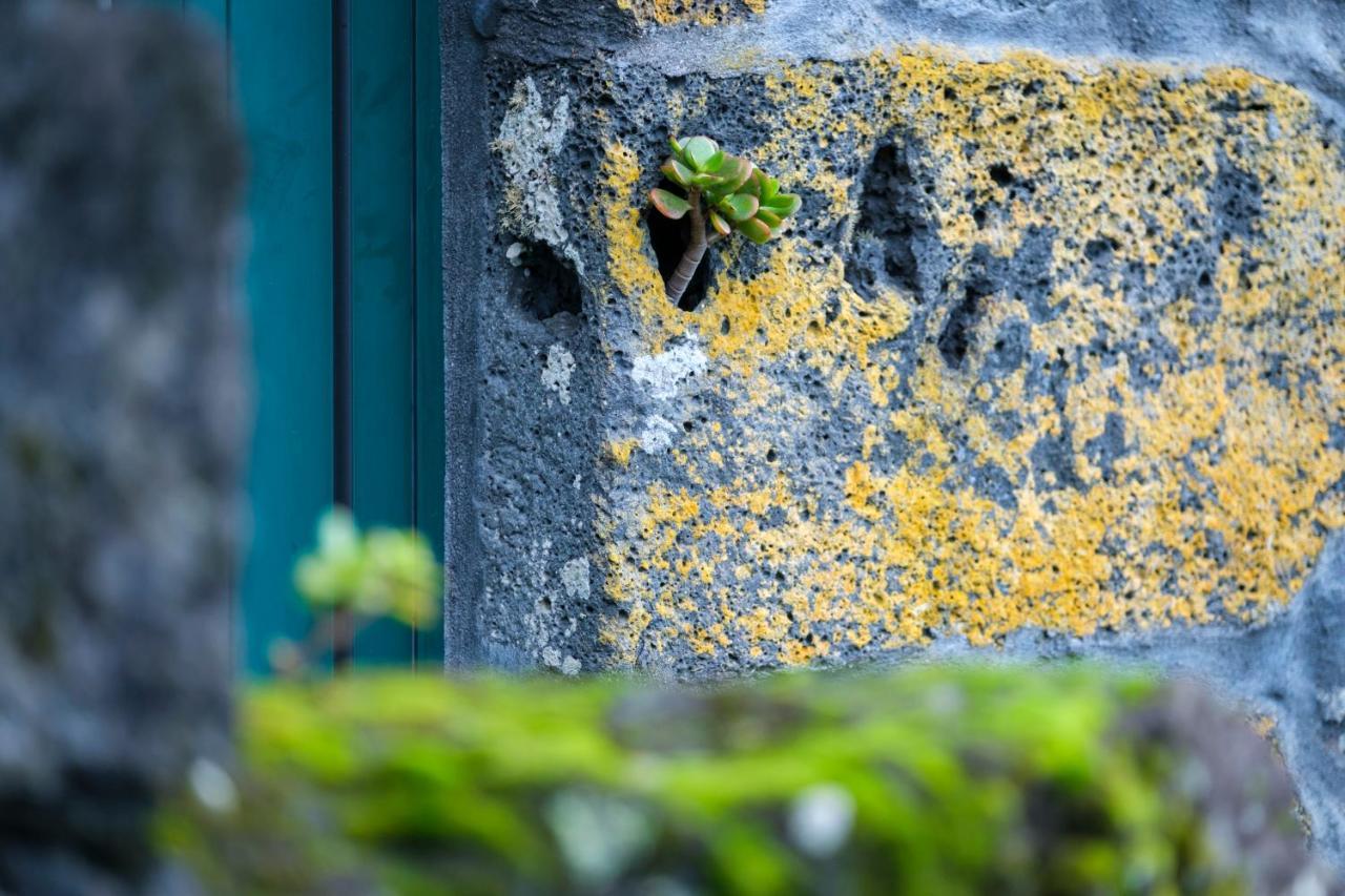 Stone Home Casa Do Caisinho Pico Island Terra Alta Exterior foto