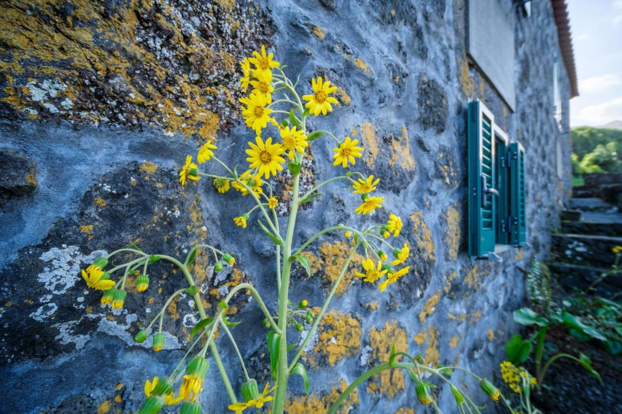 Stone Home Casa Do Caisinho Pico Island Terra Alta Exterior foto